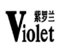 紫罗兰