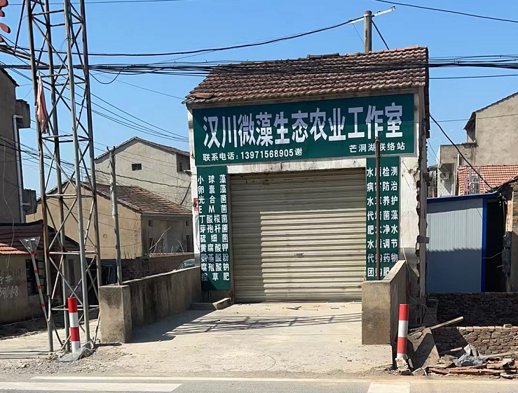 汉川微藻生态农业工作室1